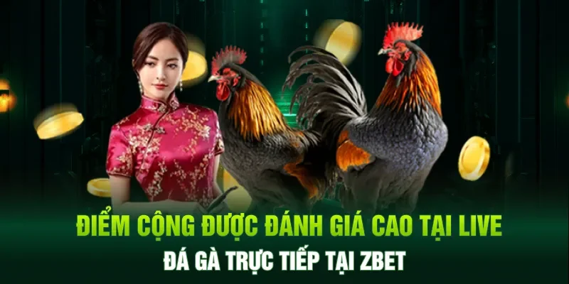 Điểm cộng được đánh giá cao tại live đá gà trực tiếp tại ZBET