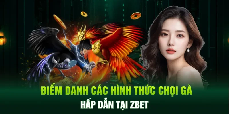 Điểm danh các hình thức đá gà online tại zbet