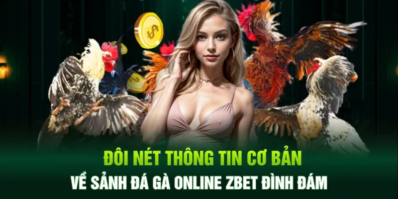 Đôi nét thông tin cơ bản về sảnh đá gà online ZBET đình đám