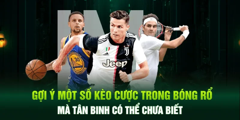 Gợi ý một số kèo cá cược bóng rổ cho tân binh