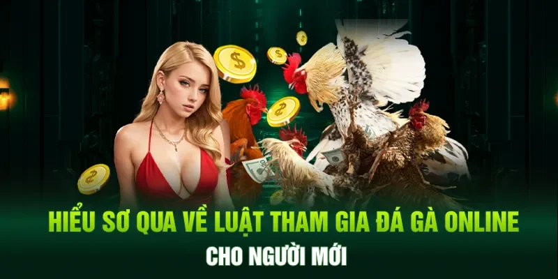 Hiểu sơ qua về luật tham gia đá gà online cho người mới