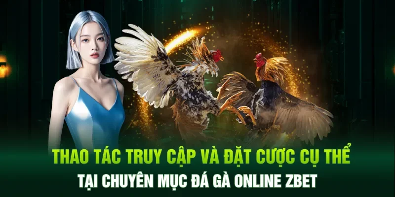 Thao tác truy cập và đặt cược cụ thể tại chuyên mục đá gà online